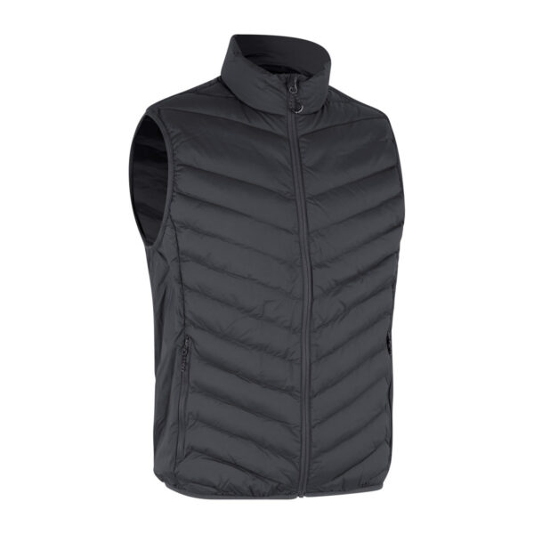 Meeste tepitud vest