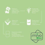 MIYO Renew kaksikerroksinen eväsrasia